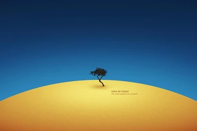 The Most Isolated Tree On Earth Best Hd Wallpapers 1280x1024 Laptop ...