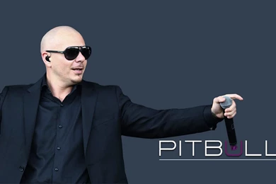 Pitbull Rapper Wallpapers