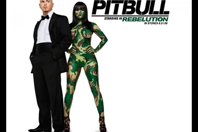 Pitbull_Nazanin   Pitbull (rapper) Wallpapers (29743734)   Fanpop