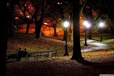 Download Park At Night Wallpapers 1920x1080