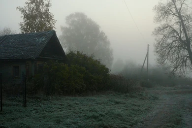 Download Wallpapers 2048x1152 Road, Country, Fog, Trees, Haze ...