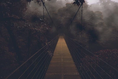 Bridge In A Gloomy Forest Wallpapers And Images   Wallpapers ...