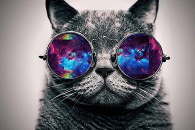 DeviantArt: More Like Wallpapers Galaxy Cat By JhoannaEditions