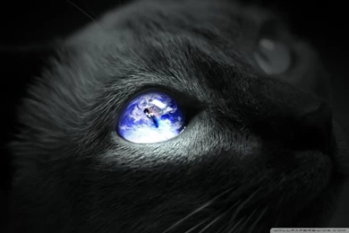Earth Cat Eye HD Desktop Wallpapers : Widescreen : High Definition ...