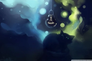 Black Cat Scared Painting HD Desktop Wallpapers : Widescreen : High ...