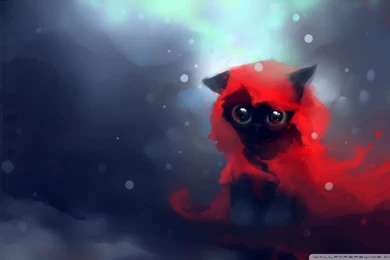 Red Riding Hood Cat HD Desktop Wallpapers : Widescreen : High ...