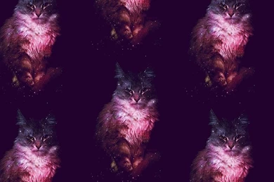 Galaxy Nebula Cat iPhone Wallpapers   Hipster Wallpapers