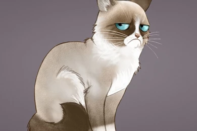 Sony Xperia Z1, ZL, Z, Samsung Galaxy S4, HTC One Grumpy Cat ...