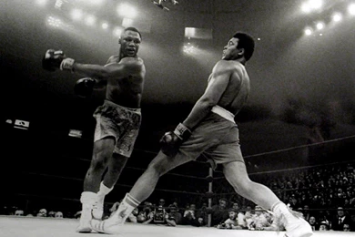 Boxing HD Wallpapers