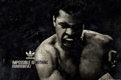 Muhammad Ali Wallpapers   Wallpaper.