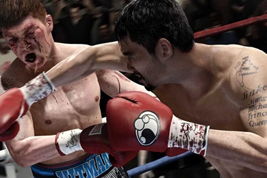 66 Boxing HD Wallpapers