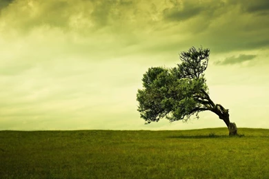 Free Hd Wallpapers Download For Laptop   HD Wallpapers Lovely