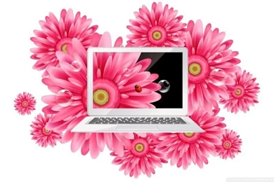 Laptop 3 HD Desktop Wallpapers : Widescreen : High Definition ...