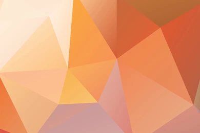 Cool Orange Vector Wallpaper.jpg