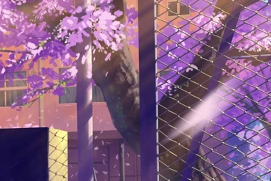 Winter Street iPhone 6 Wallpapers HD And 1080P 6 Plus Wallpapers