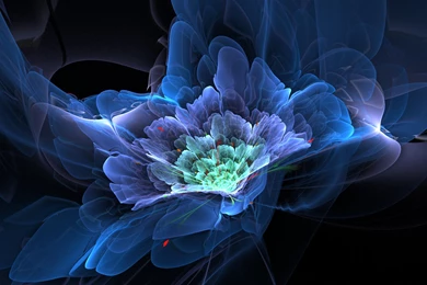 Free hd hd wallpaper.jpg