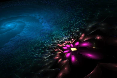 Reef Color 1 FREE HD Wallpapers By Luisbc On DeviantArt