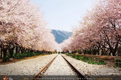 Official Site Of Korea Tourism Org.: Wallpaper_2014