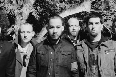 Download Linkin Park Near The Tree Wallpapers For iPhone 4