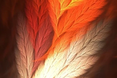 Linkin Park Alighasaby Facebook Com iPhone 5s Wallpapers Download ...