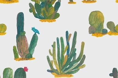 Cacti Wallpapers Illustration   Kai Nødland