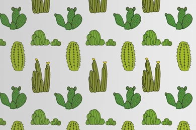 Cactus Wallpapers