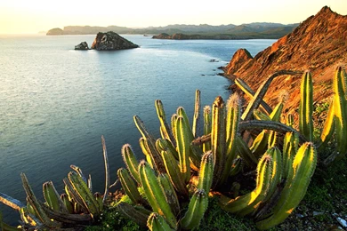 Affordable Sports Cars Under 5K (id: 108811) – BUZZERG