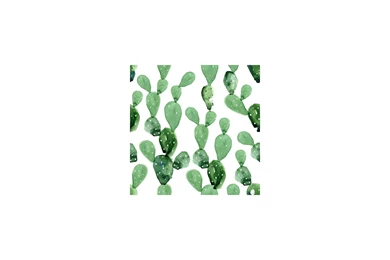 Watercolor Cactus Wallpaper, Contemporary Wall Paper
