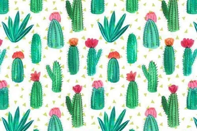 I Really Really Love Cactus