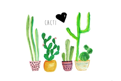 Current Trends cacti