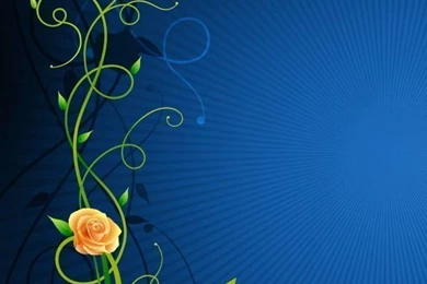 Iphone 5 wallpapers 1346