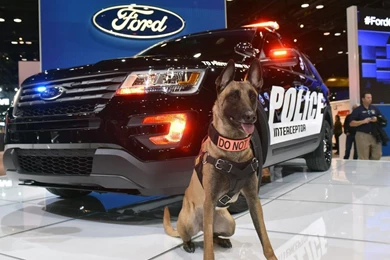 2016 Ford Police Interceptor HD Wallpapers Detail CarsWall.net