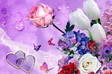 Flower Wallpapers_nature Wallpaper_download Free Wallpapers