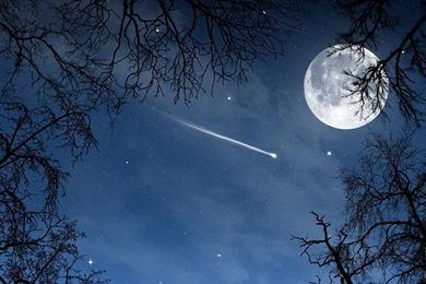 HD Quality Night Sky Stars Moon Wallpapers HD   SiWallpapers 23268