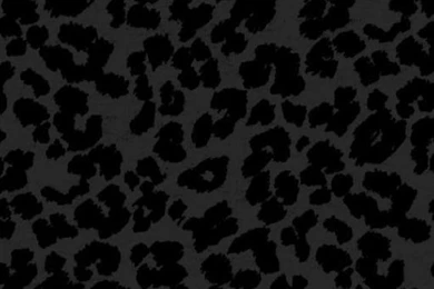 Black Cheetah Print: Created By Andrea @ Www.kentuckybabiee.com ...