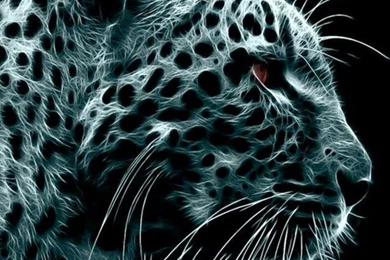 Leopard iphone 4 wallpaper iphone 4s wallpaper.jpg