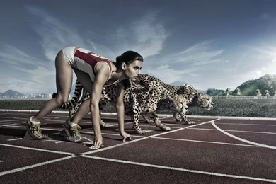 Race, Cheetah, Speed, Sports