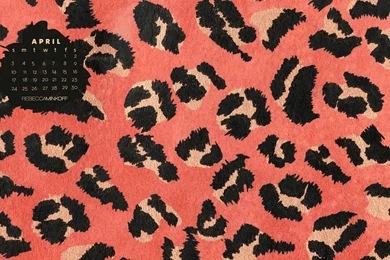 Pictures Of Cheetah Print Wallpapers