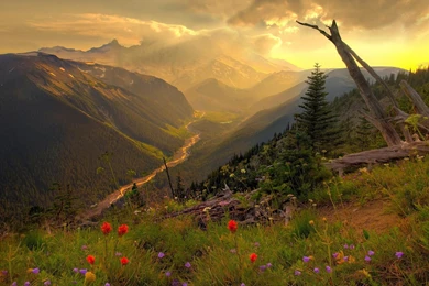 Most Beautiful Landscape HD Wallpapers   TechBlogStop
