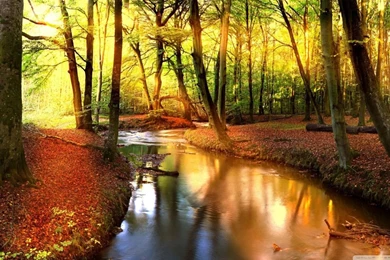 Impressive Autumn Landscape HD Desktop Wallpapers : High Definition ...