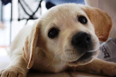 34708_1600x1200 wallpaper cb1303241640.jpg