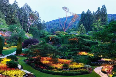 Latest Nature Wallpapers 2015 HD