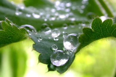 Nature Archives   Page 12 Of 15   HD Wallpapers Source