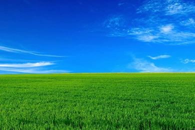 Nature Wallpapers For Desktop Hd   Latest Wallpapers