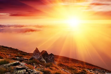 Morning Sun Wallpapers