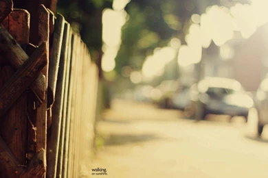 Street HD Wallpapers   FreeWallsUp