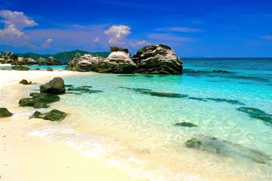 Tablet PC Wallpapers   Funny Backgrounds For Pad Computer ...