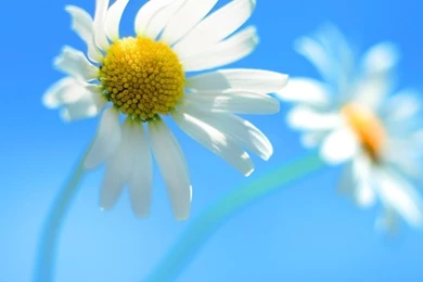 Windows 8 Official HD Desktop Wallpapers : Widescreen : High ...