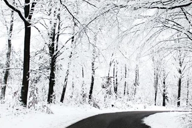 Natural_Wallpaper_for_iPhone_Backgrounds_iPhone_5_Pictures_Wallpapers_and_Backgrounds 14.jpg