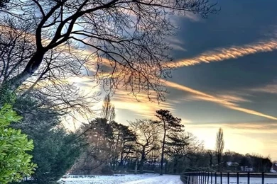 Snow iPhone 4s Wallpapers